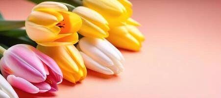 Licht Koralle Pfirsich Farbe Tulpen Blumen Strauß Frühling Blumen- Banner Raum zum Text Copyspace foto