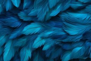 Blau Gefieder Hintergrund, Blau Gefieder Muster, Gefieder Hintergrund, Gefieder Hintergrund, Vogel Gefieder Muster, foto