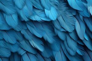 Blau Gefieder Hintergrund, Blau Gefieder Muster, Gefieder Hintergrund, Gefieder Hintergrund, Vogel Gefieder Muster, foto