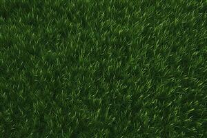 Grün Gras Textur, Gras Hintergrund, Gras Textur Hintergrund, oben Aussicht Grün Gras Textur, foto
