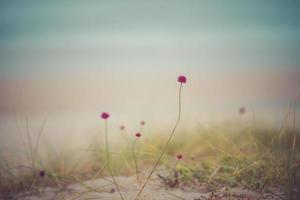 Nebel am Strand foto