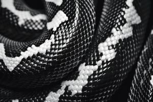 ai generiert schwarz und Weiß Schlange Haut foto
