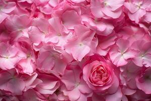 ai generiert Rosa Blütenblätter von Damaskus Rosen Hintergrund Nahansicht foto