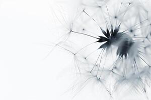 abstrakt Hintergrund Bildschirmschoner Nahansicht von Löwenzahn Blume und es ist Saat foto