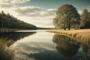 Herbstlandschaft mit Bäumen und See foto