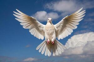 ein Weiß Taube fliegend im das Himmel foto