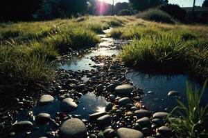 ein grasig Bereich mit Wasser und Felsen foto