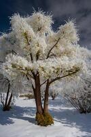 ai generiert ein Baum bedeckt im Schnee im das Mitte von ein Feld foto