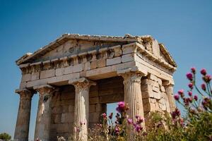 das Ruinen von das Tempel von Apollo beim Ephesus, Truthahn foto