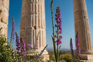 das Säulen von das Tempel von Rhea im jerusalem foto