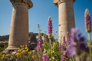 das Säulen von das Tempel von Rhea im jerusalem foto