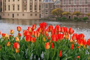 das Stadt von den haag im Holland foto