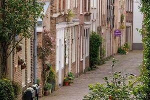 dordrecht im das Niederländer foto