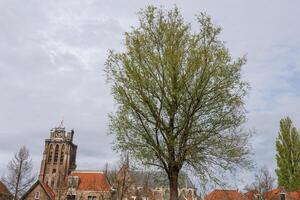 dordrecht im das Niederländer foto