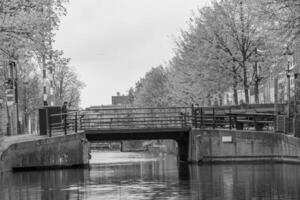 den haag im das Niederlande foto