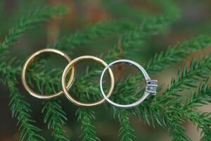 Hochzeit Ringe und Engagement Ring foto