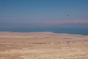 Wüste Landschaft von Israel, tot Meer, Jordanien. selektiv Fokus. foto