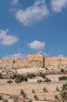 Aussicht von das golden Tor oder Tor von Gnade auf das Ostseite von das Tempel montieren von das alt Stadt von Jerusalem, Israel. hoch Qualität Foto