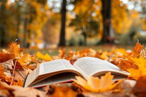 öffnen Buch unter Herbst Blätter auf Boden foto