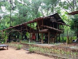 Gastfamilie hölzern Haus entspannen im Thailand Reise foto