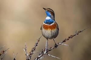 ein Vogel Gehen durch flach Wasser mit Gras im das Hintergrund foto