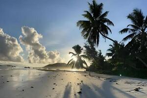 Kunst schön Sonnenuntergang Über das tropisch Strand foto