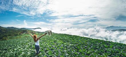 Frau steht lesend auf einer Gartenrübe. Morgenstimmung die Berge sind neblig. phetchabun phutubberg thailand foto