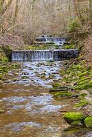 Wald Wasserfall Gelassenheit foto