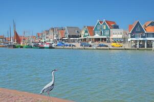 volendam bzw. Edamer Volendam, Ijsselmeer, Nordholland Provinz, Niederlande foto