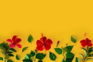 Satz tropischer Pflanzen und heller großer Blume von roten Hibiskusknospen von rotem Hibiskus einzeln und Blätter auf gelbem Hintergrund. Konzept Postkarte rote Blume Hibiskus. Sommer foto
