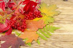 Collage, Rahmen aus hellen Herbstblättern und Beeren auf Holzhintergrund. Studiofoto foto