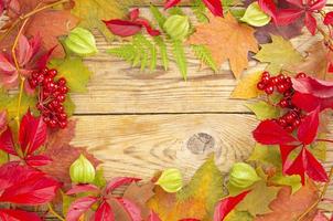 Collage, Rahmen aus hellen Herbstblättern und Beeren auf Holzhintergrund. Studiofoto