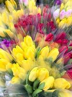 luxuriöse Blumensträuße aus bunten Tulpen. Frühlingsblumen. Geschenke. Studiofoto foto