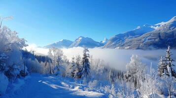 schön Winter Natur Landschaft tolle Berg foto