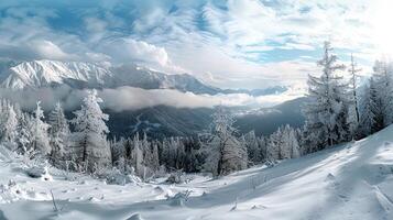 schön Winter Natur Landschaft tolle Berg foto