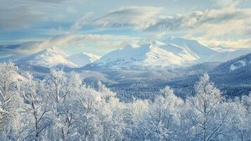 schön Winter Natur Landschaft tolle Berg foto