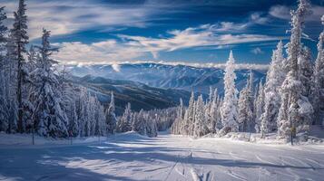 schön Winter Natur Landschaft tolle Berg foto