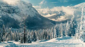 schön Winter Natur Landschaft tolle Berg foto