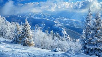 schön Winter Natur Landschaft tolle Berg foto