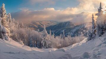 schön Winter Natur Landschaft tolle Berg foto