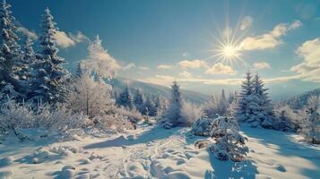 schön Winter Natur Landschaft tolle Berg foto