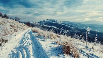 schön Winter Natur Landschaft tolle Berg foto