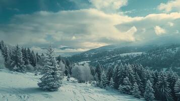 schön Winter Natur Landschaft tolle Berg foto