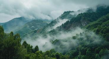 friedlich draussen Landschaft foto