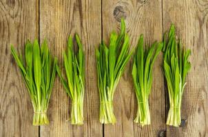 grüne junge Triebe von Allium ursinum. Foto