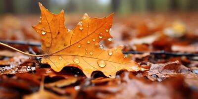 Wasser Tröpfchen gesammelt im Herbst Blatt foto