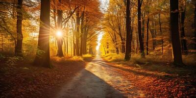 schön Herbst Landschaft mit Gelb Bäume und Sonnenlicht foto