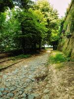 Park mit Grün Hügel und historisch die Architektur beim das petrovadin Festung foto