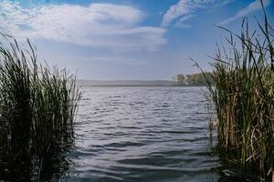 neblig Morgen Flussufer Szene auf ein Sommer- Tag foto