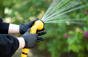 Arbeiten Bewässerung Garten von Schlauch. Hand mit Garten Schlauch Bewässerung Pflanzen, schließen hoch, verschwommen Hintergrund. Gartenarbeit Konzept foto